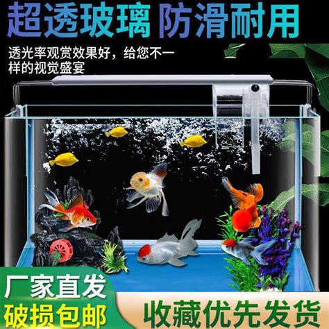 空魚缸利用|告別魚缸的7個創意